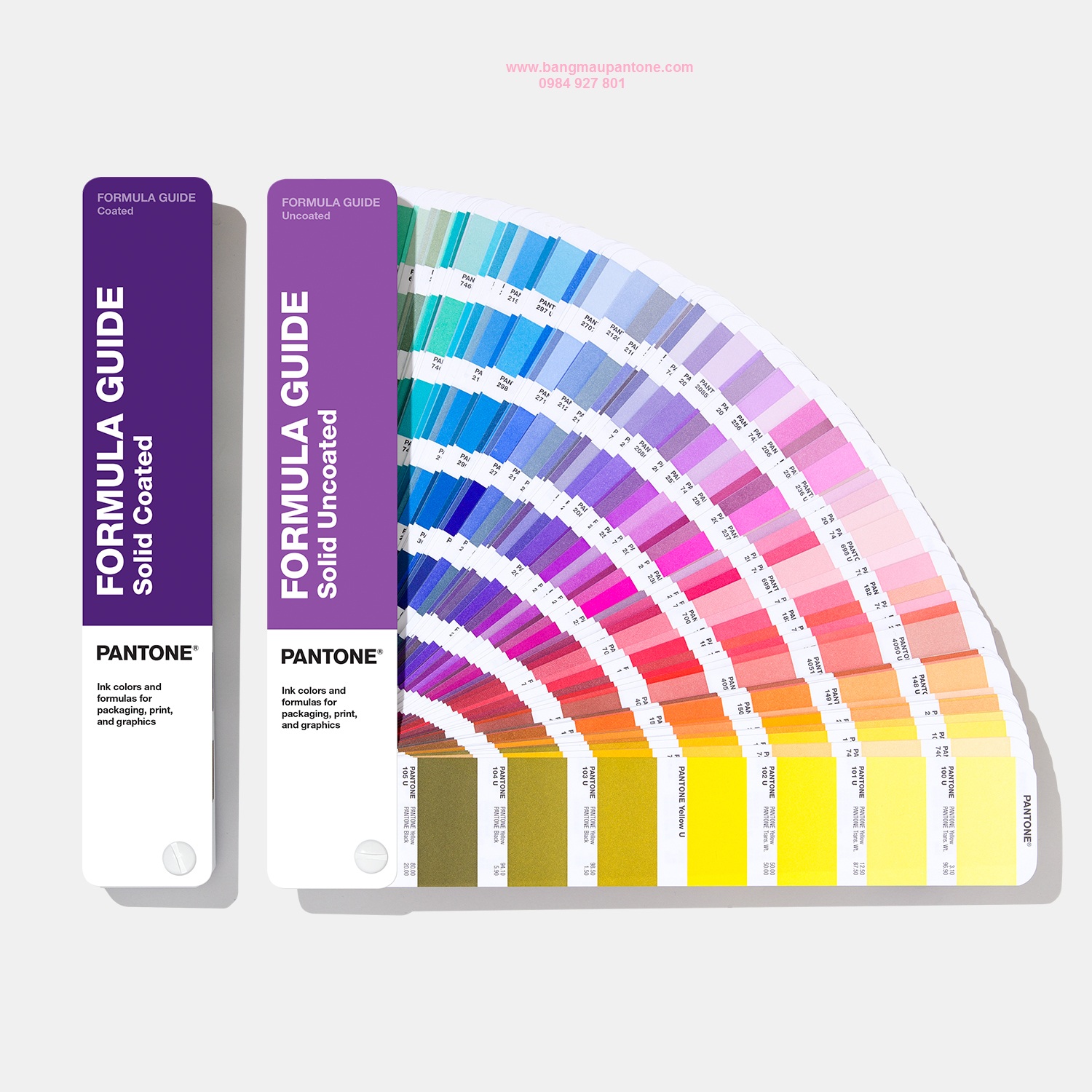 画材 PANTONE FORMULA GUIDE Solid Uncoated PANTONE Formula Guide - Coated and Uncoated GP1601B : Amazon
